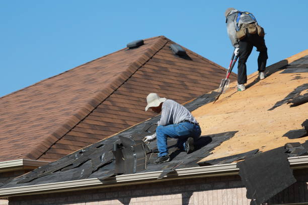 Best Roof Ventilation Installation  in Gas City, IN